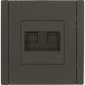 Двойная розетка RJ11+RJ45 IEK FORTEPIANO категория 5E FP335 серый FP-KT20-O-1-K03